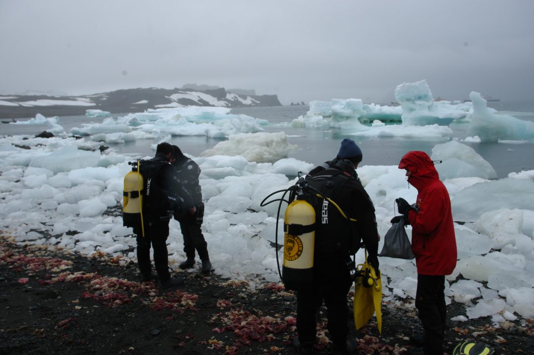 Expedición Científica Antártica 53 (ECA-53)